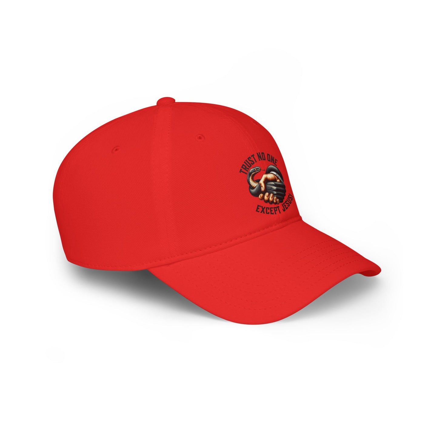JITD "TRUST NO ONE" CAP