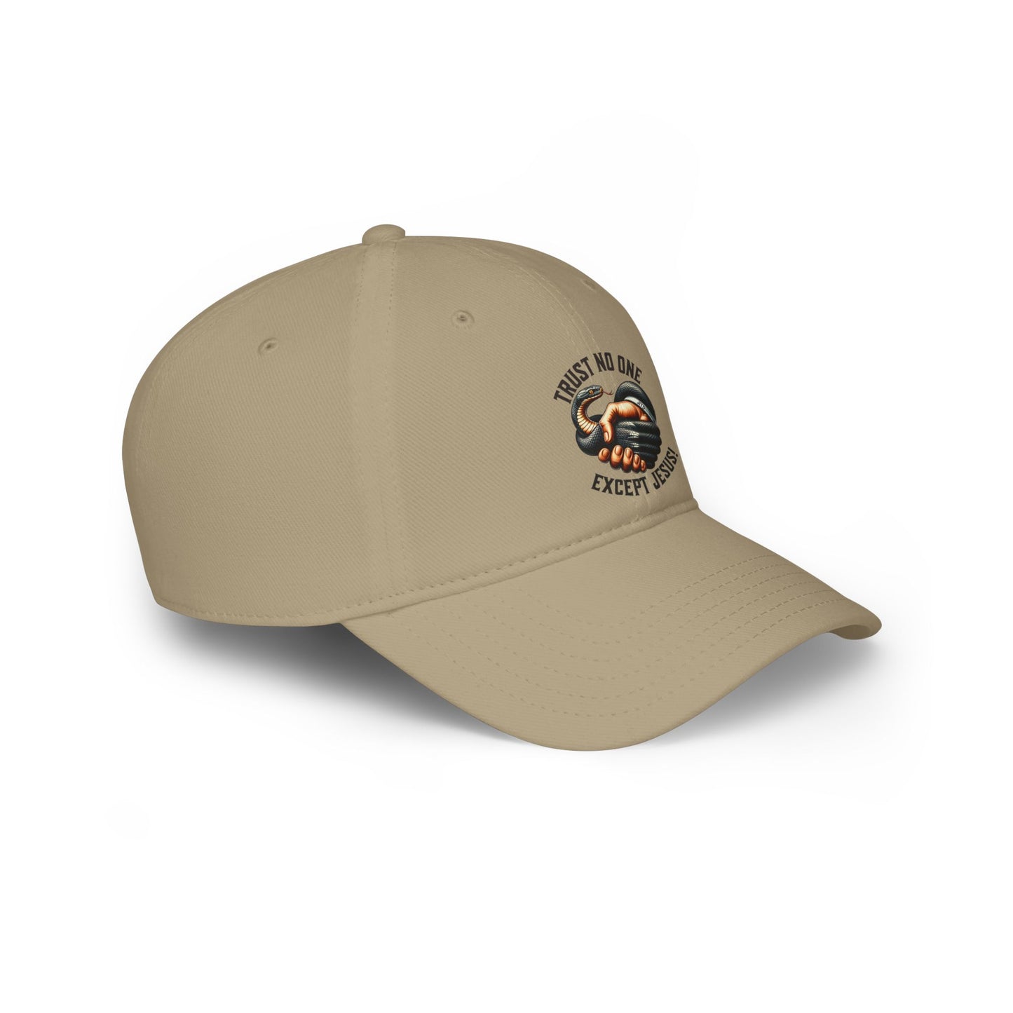 JITD "TRUST NO ONE" CAP